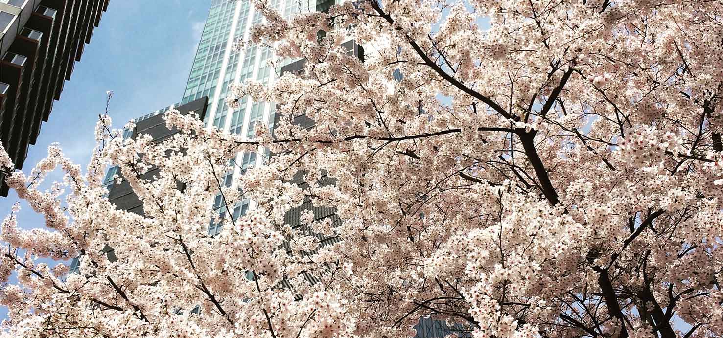 一胤店内イメージ